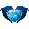 Delfin Liebe