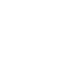 Dad fox