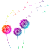 Dandelion gift idea