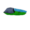 Pêche à la carpe