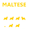 Stubborn Maltese Tricks