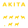 Subborn Akita Tricks