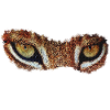 lynx eyes, big cat, lynx fan
