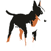 bullterrier