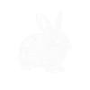 Rabbit Children Nature