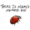 Always Another Bug