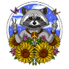 Hippie Raccoon