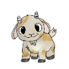 little goat