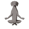 Yoga Weimaraner Hond