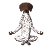 Yoga German Shorthair Pointer