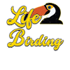 Bird Watching, Bird Watching Gift