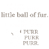 Weiche Kitty Warm Kitty T-Shirt