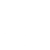 Pi dinosaurs