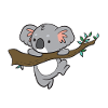 Koala - hangs on branch