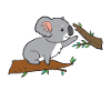 Koala - while climbing