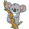 Koala - regarde de l'arbre.