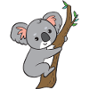 Koala - on tree