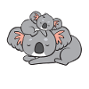 Koala - mom with child