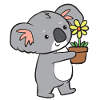 Koala - avec fleur