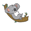 Koala - relaxed on branch