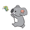 Koala - catches butterfly