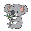 Koala - eats eucalyptus