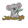 Koala - with eucalyptus on tree