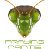 Mantis Gottesanbeterin Polygon Kinder Geschenk