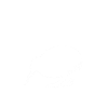 New Zealand kiwi
