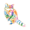 racoon