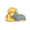 Hond en kat knuffelen dierenliefde