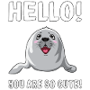 Seal dyr havløve gave idé sæl Sweet