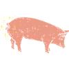 pig
