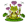 Hippie Frog Zen Yoga Meditation