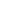 Bird gliding glider pilot