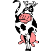 cow 2