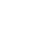 chiwawa chihuahua