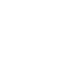 skier