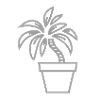 Minimalist Palm Tree