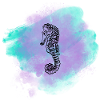 Sea horse sketch