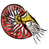 nautilus