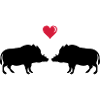 wild boar in love