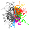 Brain halves functions
