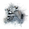lemur