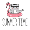 Summer time summer cool cat