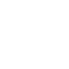 US Army