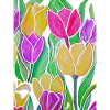 EG Blomster I Tulipaner I Blomster I Holland I Ferier