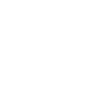 Chat rock roll danse chat