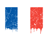 French flag