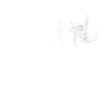 Judo Judoka Evolution Selbstverteidigung Evo